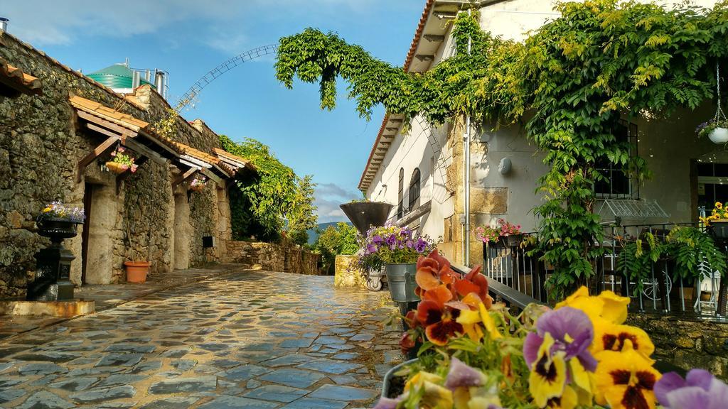 Eljas Almazara De San Pedro (Adults Only)ゲストハウス エクステリア 写真